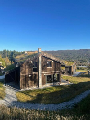 Geilo - Ny og flott hytte på budalstølen